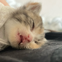 jaydenbeanboi avatar