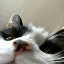 jayjayyy16-blog avatar