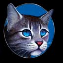 jayswing103-blog avatar