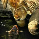 jazmin25-blog avatar