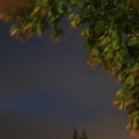 jazminskye-16 avatar