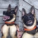 jazsmith34567 avatar