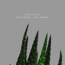 jazzseveriim-blog avatar