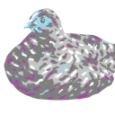 jazzthebirdnerd avatar