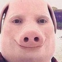 jblobfish avatar