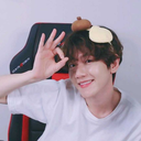 jdmxmnska-blog avatar