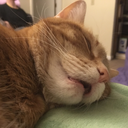 je-suis-calme-et-a-paris avatar