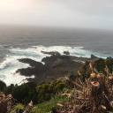 jeaninebaptista avatar