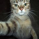 jeanjeromeworld avatar