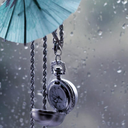 jeanniekaulitz avatar