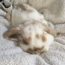 jeansprettybaby avatar