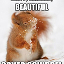 jederkuhzaehlt avatar