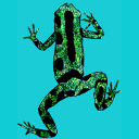 jedimasterhyladae avatar