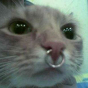 jeffbri-dahmer avatar