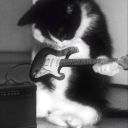 jeffbuckleylvr27 avatar