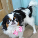 jeffreygeoffry avatar