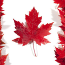 jefftucker9216 avatar