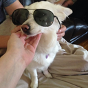 jekel-and-hyde avatar