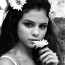 jelenasroses avatar