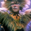 jellicle-moon avatar
