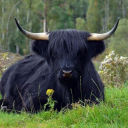 jellieappreciator420 avatar