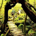 jellosaurusrex avatar