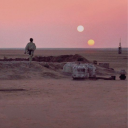 jellybean14sworld avatar