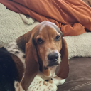 jellybeanoverjoyed avatar