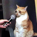 jellybeans2099 avatar