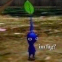 jellybellyblimp avatar