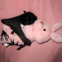 jellycatbat avatar