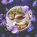 jellyfish-tea avatar