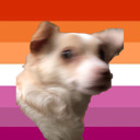 jellyfisharerad avatar