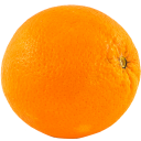 jellyfishhugger avatar