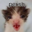 jellyfishtoenail avatar