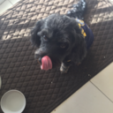 jellyllamaiscool avatar