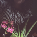 jellylovinfish avatar