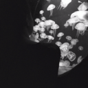 jenenpensepasmoins avatar