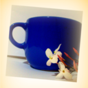 jengibrecanelaymiel avatar