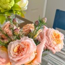 jenn-ahh-licious avatar