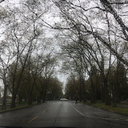 jennaavalentinee avatar