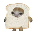 jennieontoast avatar