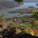 jennifer-choi avatar