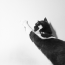 jennifertzeng avatar