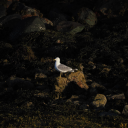 jennthegardner02 avatar