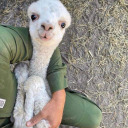 jennylouwho81 avatar