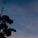 jennypeppermint avatar