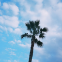 jens12jens12-blog avatar