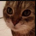 jensen-squirrel-02 avatar