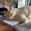 jensenacklesbootycall avatar